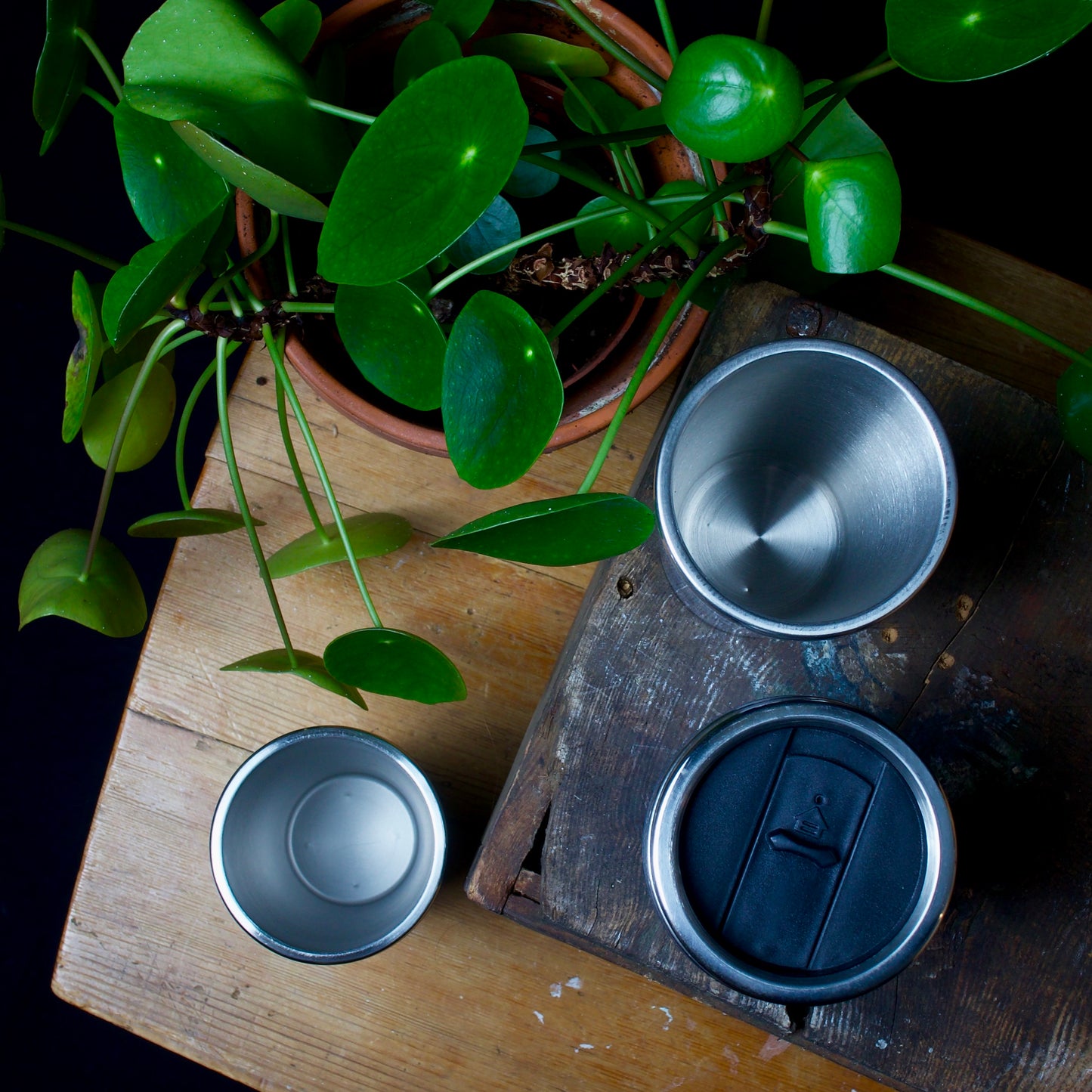 Music animal coffee cup