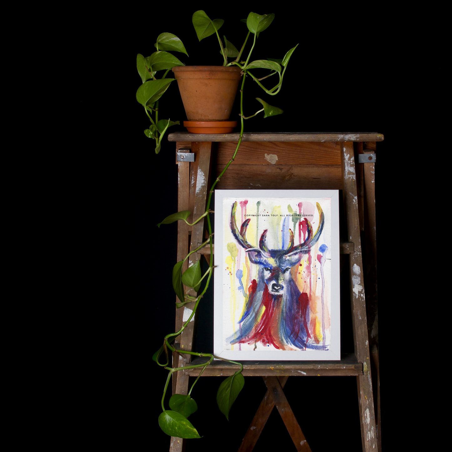 ''Deer'' print